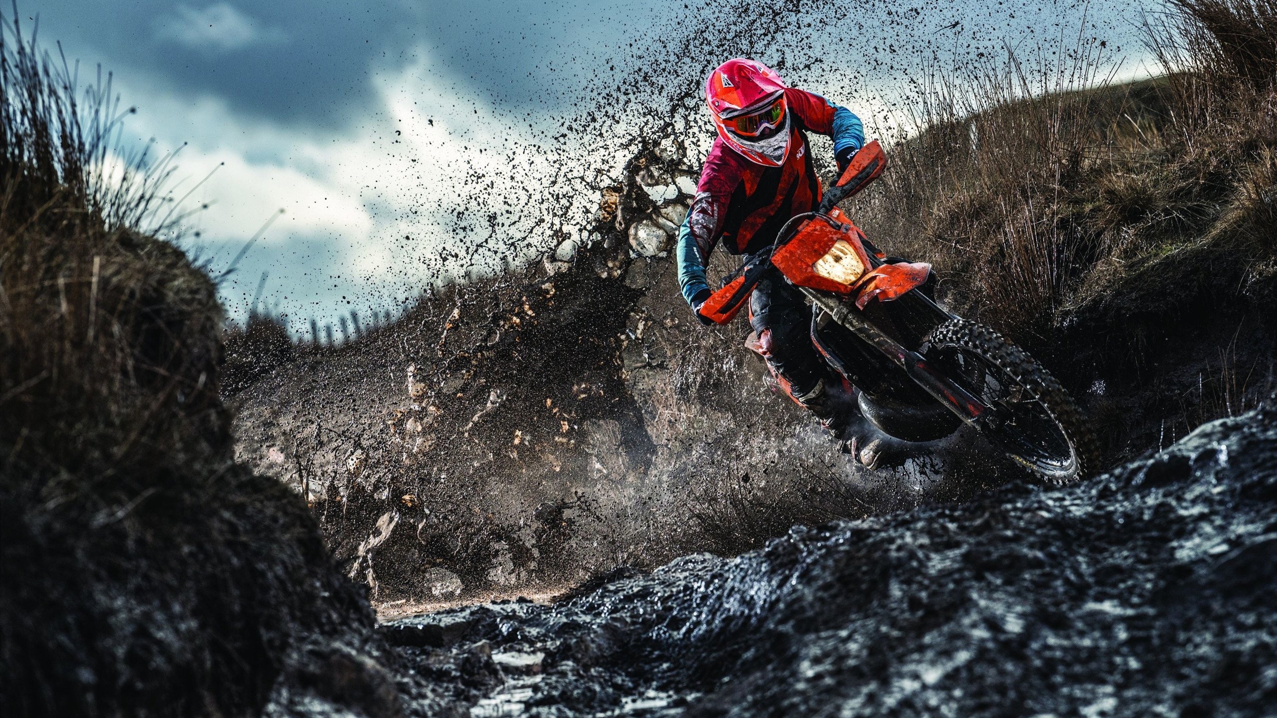 小组赛“黑马”球队的奇迹故事，nba黑马球队